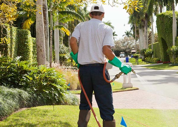 About Dallas NC Pest Control Pros